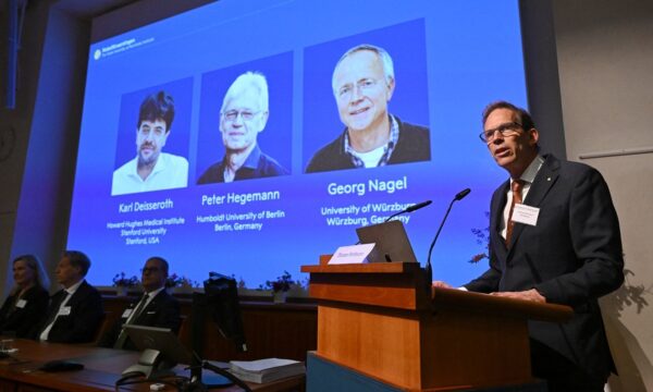 De algas a neurônios: entenda a pesquisa dos vencedores do Nobel de Medicina 2026