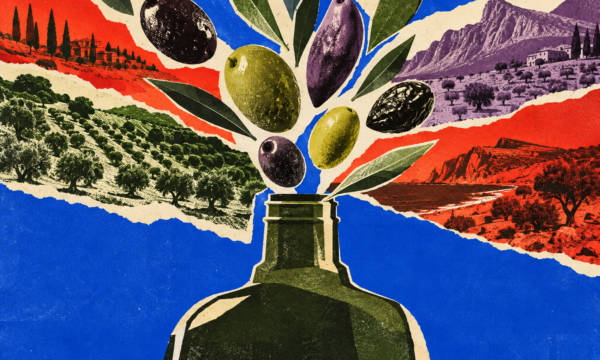 Se escolhemos vinho pela uva, por que não fazemos o mesmo com o azeite