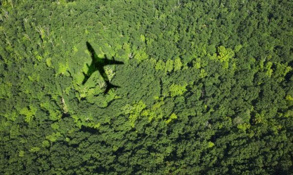 O custo da incerteza e a bancabilidade do SAF brasileiro