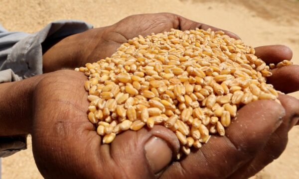Preços mundiais dos alimentos se aproximam de máxima de 4 anos em setembro, diz FAO