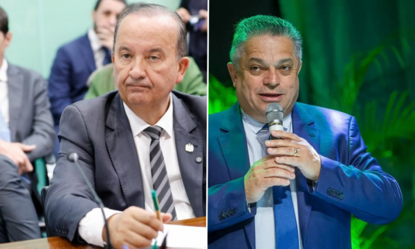 Eleições 2026: Acompanhe a apuração de votos em Santa Catarina (SC)