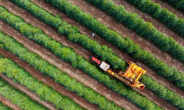 Fiagro com 24% de desconto pode render 16,4% em dividendos, estima XP