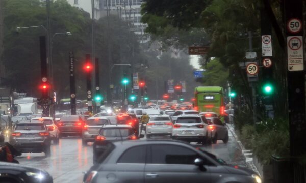 Chuva deixa 33 zonas eleitorais sem energia em São Paulo; votação continua