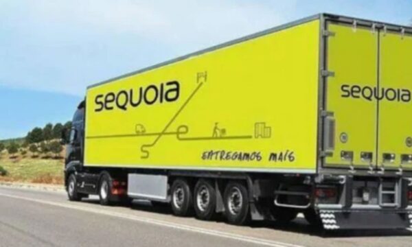 Sequoia (SEQL3) aprova grupamento de 150 ações para 1; veja os prazos