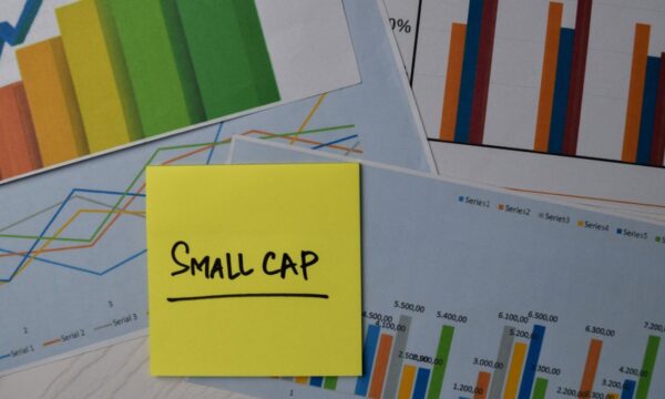 SLCE3, PGMN3, FLRY3 e outras sete small caps para investir em outubro, segundo Itaú BBA